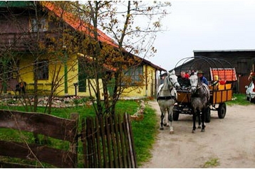 Poljska Privát Bogacko, Eksterijer